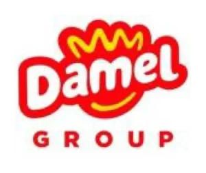 Damel-Group
